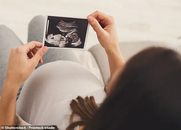 New data showed birth rates hit a record low of 1.48 children per woman in 2024